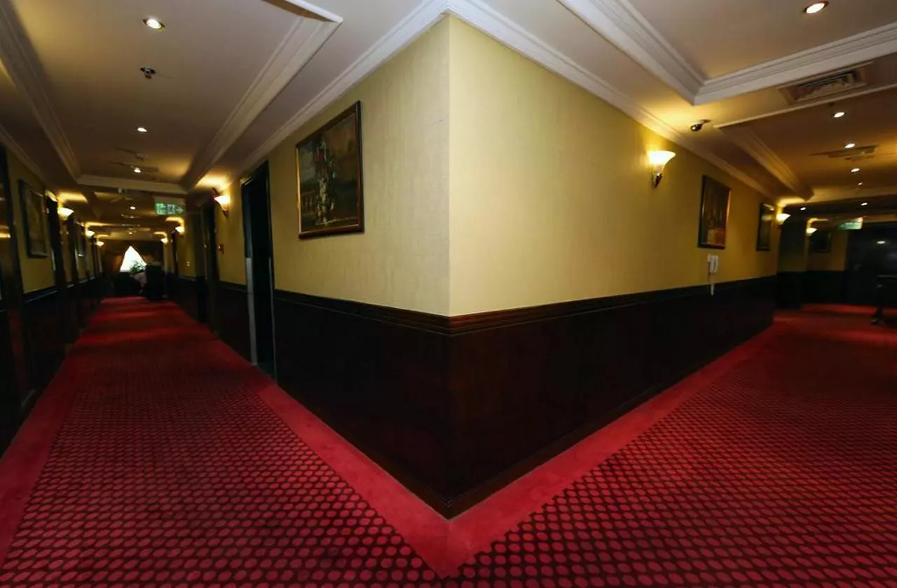 DELMON_SHABAVIZ (11).jpg